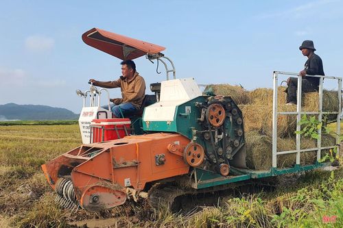 Điểm đáng chú ý là những cuộn rơm sau khi được thu gom đều được thương lái thu mua để phục vụ sản xuất nông nghiệp và chăn nuôi. Tùy kích cỡ, mỗi cuộn rơm có giá dao động từ 10.000 - 15.000 đồng, mang lại thêm nguồn thu cho bà con nông dân.