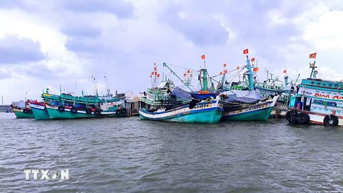 Tỉnh Cà Mau quyết tâm xóa bỏ các tồn tại để gỡ cảnh báo “thẻ vàng” IUU nhằm thúc đẩy lưu thông hàng hóa, mở rộng thị phần xuất khẩu, bảo tồn nguồn lợi thủy sản và xây dựng nghề cá minh bạch cho tương lai. (Ảnh: Chanh Đa/TTXVN)