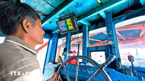 Nhờ công tác tuyên truyền, ngư dân Cà Mau luôn nâng cao ý thức, trách nhiệm trong khi khai thác, đánh bắt thủy sản ngoài khơi. (Ảnh: Chanh Đa/TTXVN)