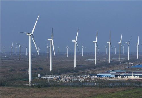 Các turbine gió tại tỉnh Giang Tô, Trung Quốc. Ảnh: THX/TTXVN