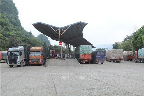 Phương tiện chở hàng XNK tập kết tại khu vực sang tải trong lối thông quan Cốc Nam (Lạng Sơn). Ảnh: Quang Duy/TTXVN.