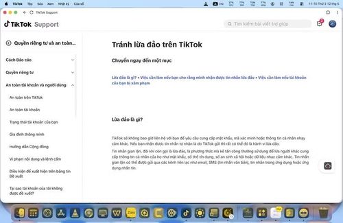 Ứng dụng TikTok cung cấp tính năng cảnh báo, báo cáo hành vi lừa đảo, mạo danh ngay trên ứng dụng. Ảnh chụp màn hình ứng dụng