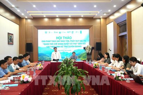 Ông Đỗ Tấn Sơn, Phó Giám đốc Sở Nông nghiệp và Môi trường tỉnh Tuyên Quang phát biểu tại Hội thảo. Ảnh: Minh Tâm-TTXVN