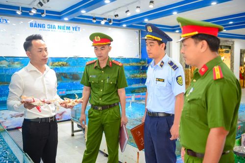 Song song với đó, lực lượng chức năng tăng cường kiểm tra hoạt động buôn bán, xử lý các hành vi gian lận thương mại, niêm yết giá không đúng quy định và tuyên truyền nâng cao ý thức kinh doanh văn minh cho các hộ dân.