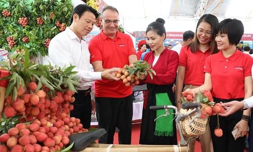 Vải thiều Bắc Ninh được khách quốc tế chọn mua.