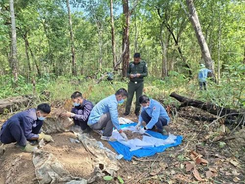 Cán bộ, chiến sĩ Đội K52 tích cực tìm kiếm những di vật đi kèm cùng hài cốt liệt sĩ.