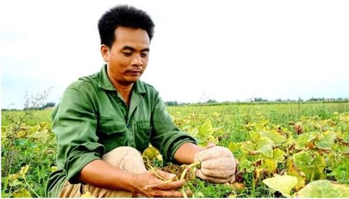 Người dân ở ấp 2 xã Đắk Lua (Đồng Nai) phát triển sản xuất từ nguồn vốn ưu đãi.
