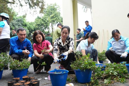 Chính quyền cùng nhân dân xã Vân Đình tham gia trồng cây. Ảnh: Lại Tấn