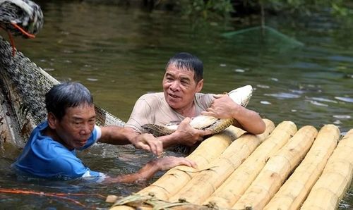 Điểm nhấn của lễ hội là hoạt động đánh cá với sự tham gia của đông đảo nhân dân