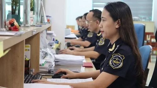 Hoạt động nghiệp vụ tại Hải quan Thái Nguyên. (Ảnh: THÁI BÌNH).