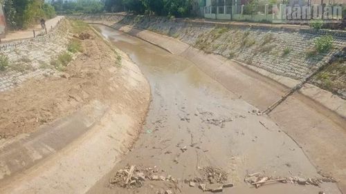 Một tuyến kênh chính ở xã Ninh Phước bồi lắng, cần được nạo vét trước khi mở nước, để bảo đảm dòng chảy phục vụ sản xuất.