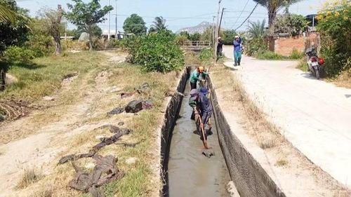 Nông dân khu vực phía nam tỉnh Khánh Hòa chủ động nạo vét, khơi thông kênh mương nội đồng để đón nguồn nước tưới phục vụ sản xuất sau khi hệ thống thủy lợi chính mở nước trở lại.