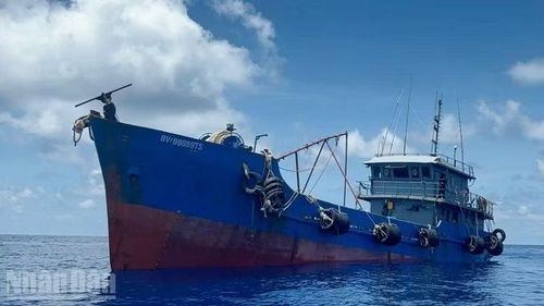Tàu BV 99889 TS đang vận chuyển trái phép khoảng 40.000 lít dầu D.O trên biển.