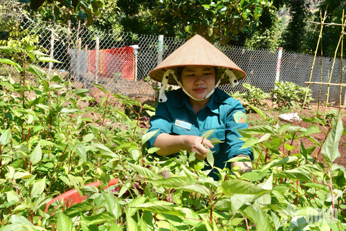 Sau giờ huấn luyện, niềm vui của "Chị nuôi" Lương Thị Danh là được chung tay chuẩn bị những bữa cơm ngon cùng đồng đội.