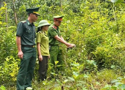 Thả động vật quý hiếm về với tự nhiên