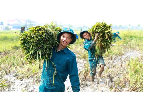 Những nụ cười rạng rỡ giữa cánh đồng mùa vàng thể hiện tinh thần trách nhiệm và sẻ chia với người dân.