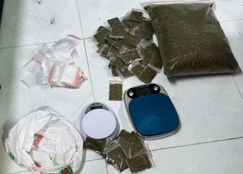 Tang vật thu giữ.