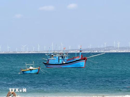 Đảo Hòn Cau với nước biển xanh biếc nhìn về hướng đất liền. (Ảnh: Nguyễn Thanh/TTXVN)