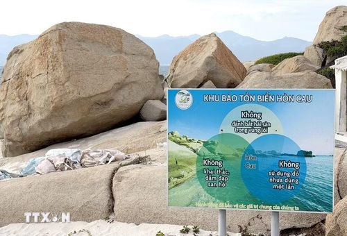 Pano tuyên truyền kêu gọi bảo vệ môi trường khi du khách đến tham quan Khu Bảo tồn biển Hòn Cau. (Ảnh: Nguyễn Thanh/TTXVN)