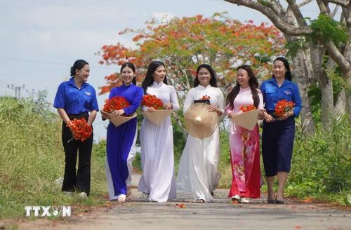 Nhiều bạn trẻ chụp ảnh và lưu giữ thanh xuân với hàng phượng Lấp Vò. (Ảnh: Nhựt An/TTXVN)