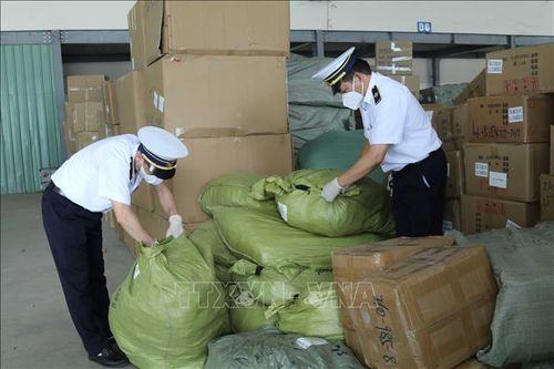 Lực lượng Kiểm dịch y tế cửa khẩu Tân Thanh (Lạng Sơn) kiểm tra điểm tập kết hàng có nguy cơ mầm bệnh khu trú.