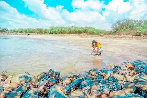 Chỉ cách TP.HCM 70km, các bạn trẻ có thể đến bãi biển này du lịch dịp cuối tuần.