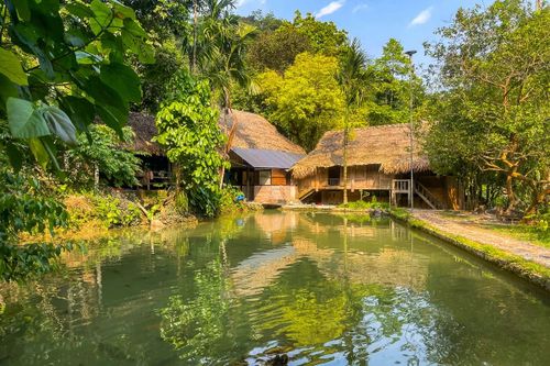 Ẩn mình dưới tán rừng quanh chân thác là những nếp nhà sàn truyền thống của người Thái được cải tạo thành homestay phục vụ khách du lịch. Những căn nhà gỗ mái lá vẫn giữ nguyên nét kiến trúc bản địa, tạo cảm giác gần gũi giữa thiên nhiên.