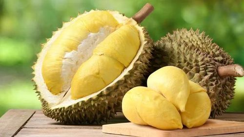 Ăn sầu riêng quá nhiều, kết hợp sai thực phẩm hoặc dùng không đúng cách có thể gây đầy bụng, tăng đường huyết, nóng trong người và ảnh hưởng sức khỏe. Ảnh: Internet
