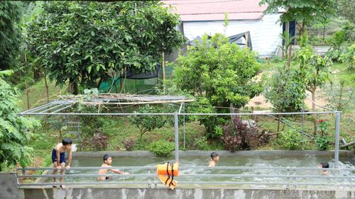 Bể nước có chiều dài 7 m, chiều ngang 5 m, sâu gần 1 m.