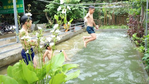 Các em nhỏ ở thôn Gốc Nhội có "địa chỉ" học bơi miễn phí ngay tại thôn.