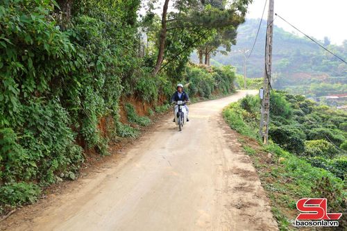 Đường về các bản ở Tà Xùa được bê tông khang trang.