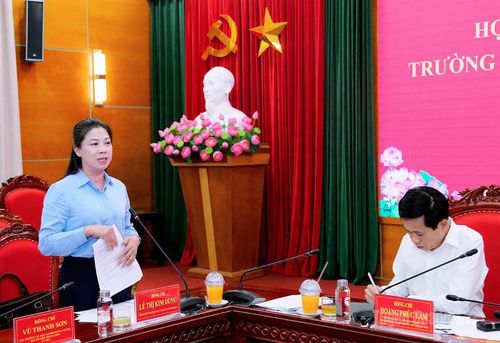 Đồng chí Phó Bí thư Thường trực Tỉnh ủy, Trưởng đoàn ĐBQH tỉnh Lê Thị Kim Dung phát biểu tại cuộc họp.