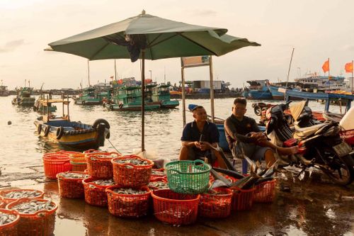 Khi mặt trời lên cao hơn, ánh sáng phủ lên khu vực bến cảng và những con thuyền neo sát nhau trên mặt nước. Không khí mua bán dần giảm nhịp sau khoảng 7:00 sáng, khi phần lớn hải sản đã được vận chuyển tới chợ hoặc các điểm thu mua. Ảnh: Lữ Duy Tường