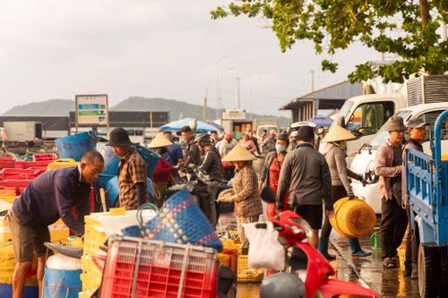 Chợ cá An Thới không được bố trí theo kiểu phục vụ du lịch mà giữ nguyên nhịp sinh hoạt thường ngày của ngư dân địa phương. Mặt nền ướt nước biển, các thùng nhựa xếp dọc lối đi, xe máy và xe ba gác liên tục di chuyển giữa dòng người mua bán. Ảnh: Lữ Duy Tường