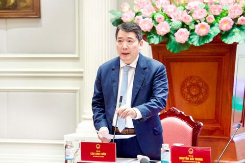Thứ trưởng Bộ Tài chính Cao Anh Tuấn phát biểu