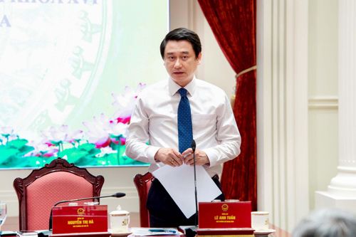 Thứ trưởng Bộ Ngoại giao Lê Anh Tuấn phát biểu
