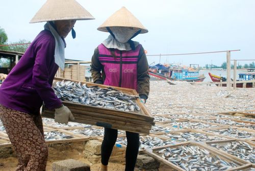 Những nỗ lực quyết liệt của Đà Nẵng nhằm mở ra hướng đi cho một ngành thủy sản hiện đại, bền vững và có trách nhiệm trong tương lai.