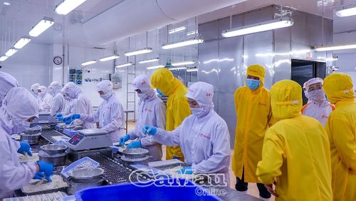Ðoàn công tác LÐLÐ tỉnh khảo sát điều kiện làm việc của công nhân tại Công ty Cổ phần Camimex Group.