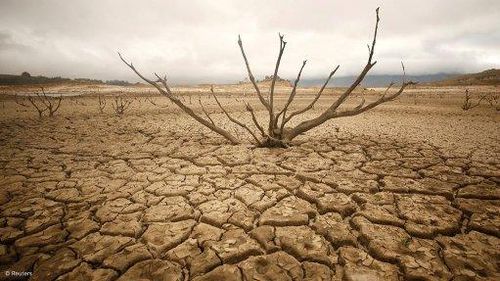  Hệ thống khí hậu toàn cầu đang đứng trước ngưỡng cửa "báo động đỏ" 