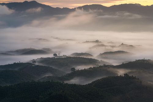 Đồi Bát Úp, còn gọi là đồi Dổi, thuộc xã Đại Lào cũ, TP. Bảo Lộc, tỉnh Lâm Đồng, gần đây trở thành điểm đến được nhiều du khách quan tâm. Khu vực này nằm ở độ cao gần 1.000 m so với mực nước biển, thu hút du khách tới "săn mây" và ngắm cảnh.