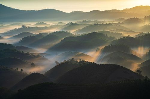 Ngoài "săn mây", du khách đến Bảo Lộc có thể kết hợp tham quan thác Dambri, hồ Nam Phương, các đồi chè Tâm Châu hay những cung đường thông xanh tại khu vực Lộc Thành, Lộc Tân.