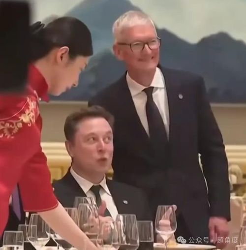  CEO Apple Tim Cook cũng tranh thủ chụp ảnh cùng tỷ phú Musk. Ảnh: Weibo. 