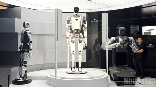 Trưng bày các robot hình người trong lĩnh vực sản xuất công nghiệp.