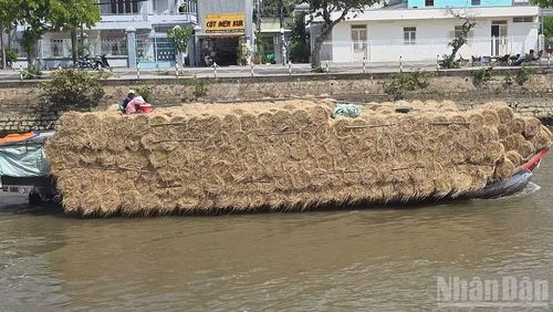 Nếu tận dụng tốt, rơm tăng thêm phụ thu cho nông dân.