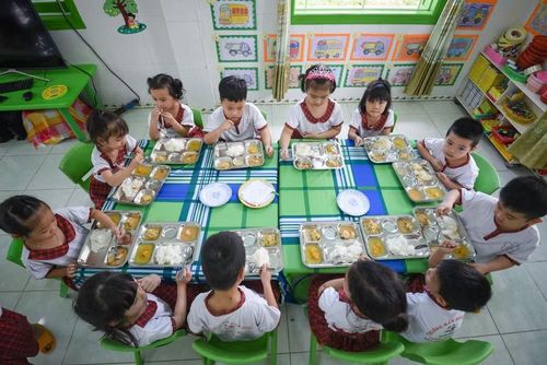 Dinh dưỡng học đường: chìa khóa nâng cao thể lực và trí lực học sinh.