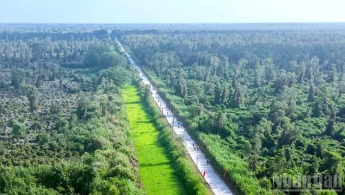 Phần lớn diện tích rừng tại lâm phần U Minh hạ của tỉnh Cà Mau đang trong cảnh báo cháy từ cấp II đến cấp V.