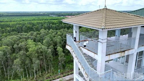 Cận cảnh hệ thống camera “mắt thần” hiện đại được lắp đặt kiên cố trên chòi quan sát cao 26m tại khu hành chính Vườn Quốc gia U Minh hạ.
