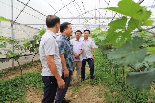 Lãnh đạo các sở, ban, ngành kiểm tra hoạt động sản xuất nông nghiệp.