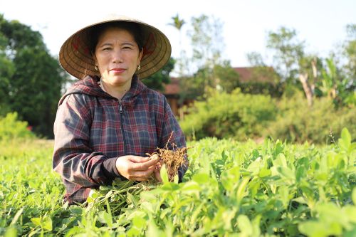 Bà Lê Thị Thu là đầu mối thu gom rau - củ - quả từ các hộ dân để cung ứng cho bếp ăn Công ty CP Bao bì Sông La Xanh.