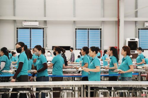 Công ty TNHH Haivina Hồng Lĩnh hiện có gần 1.400 lao động làm việc.